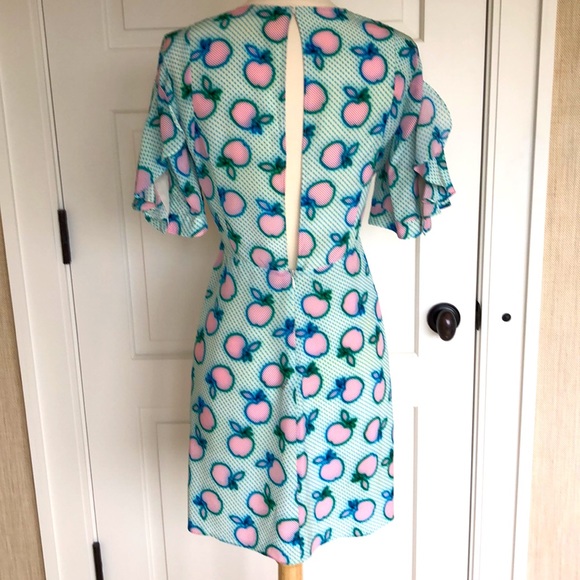 🎉HP💖Miu Miu Runway Editorial Apple Print Dress - Picture 8 of 11